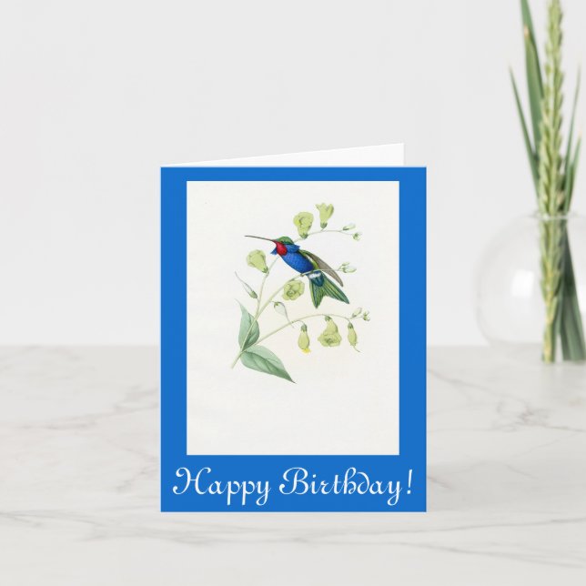 Hummingbird Flowers Blommigt Wildlife Animals Kort (Framsida)