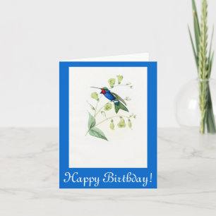 Hummingbird Flowers Blommigt Wildlife Animals Kort