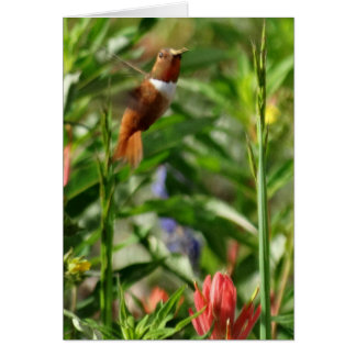 Hummingbird Flowers Hälsningskort