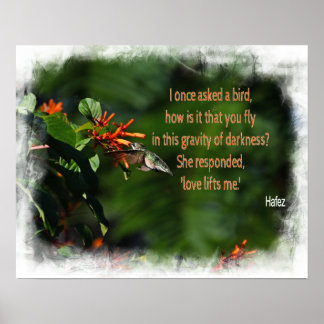 Hummingbird-foto med Hafez-citat Poster