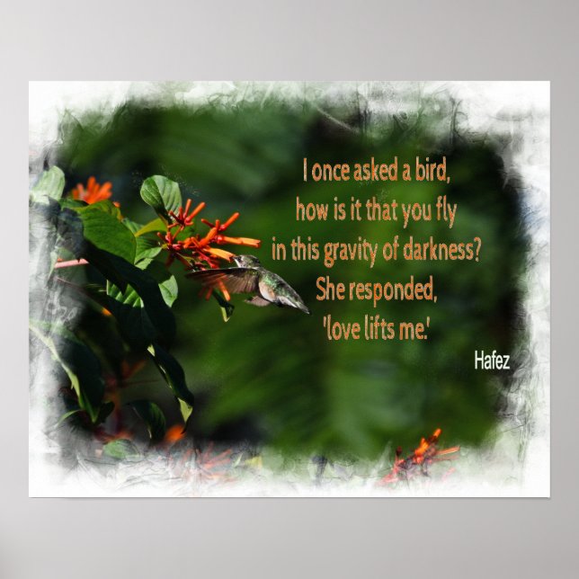 Hummingbird-foto med Hafez-citat Poster (Framsidan)