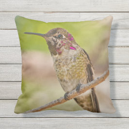 Hummingbird Foto utomhus Dekorativ kudde