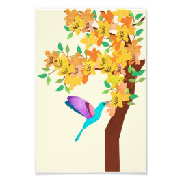 Hummingbird Fototryck