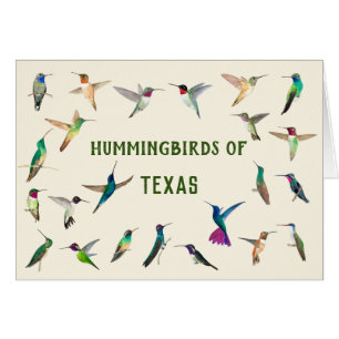 Hummingbird från Texas Hälsningskort
