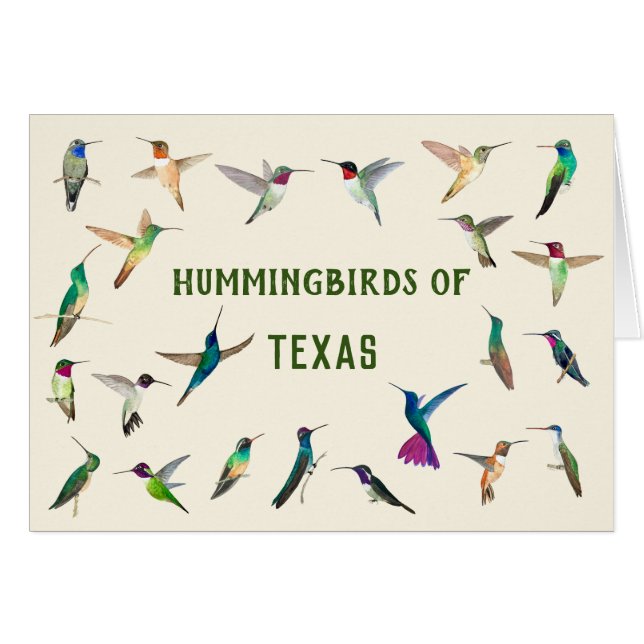 Hummingbird från Texas Hälsningskort (Framsidan Horizontal)