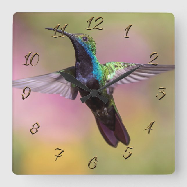 Hummingbird Fyrkantig Klocka (Framsida)