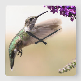 Hummingbird Fyrkantig Klocka