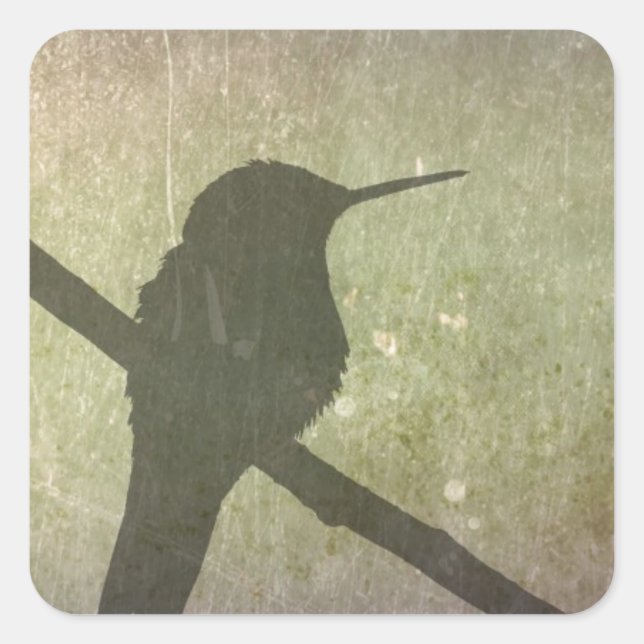 Hummingbird Fyrkantigt Klistermärke (Framsida)