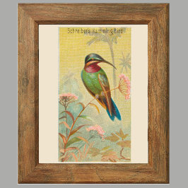 Hummingbird, Gallery Wall Art Set av 6, 5/6 Poster