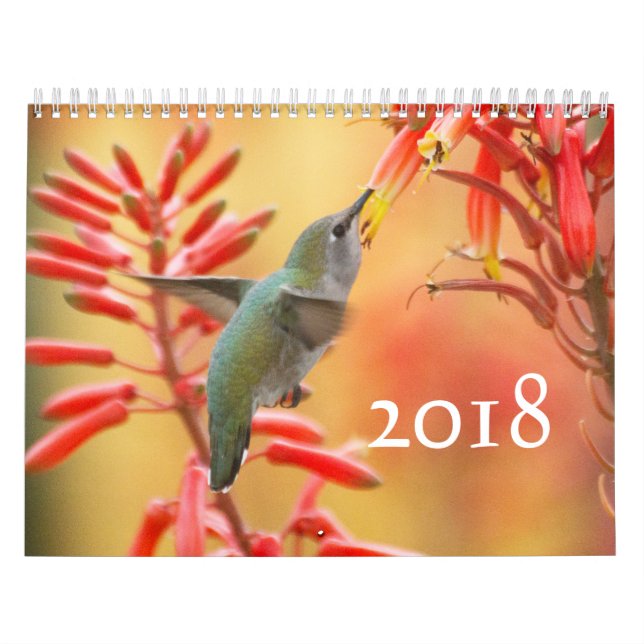 Hummingbird galore kalender (Omslag)