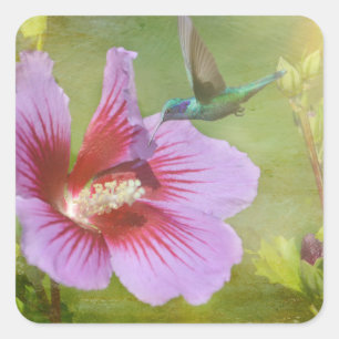 Hummingbird Gathering Nectar Stickers Fyrkantigt Klistermärke