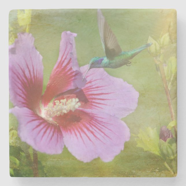 Hummingbird Gathering Nectar Stone Underlägg (Framsidan)