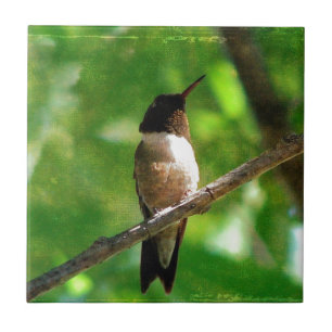 Hummingbird God Kakelplatta
