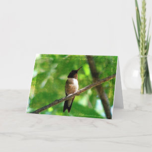 Hummingbird God Kort