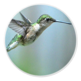 Hummingbird Grönt Flight Photo Wildlife Knopp