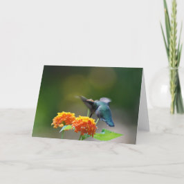 Hummingbird Hälsning Kort