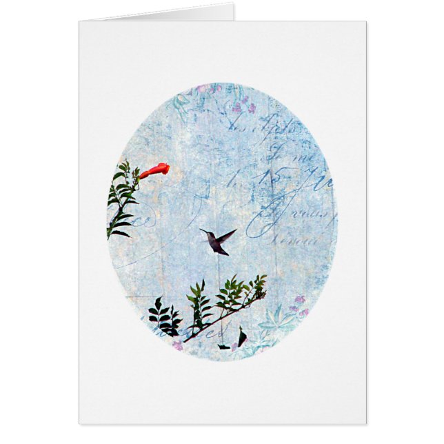 Hummingbird Hälsningskort (Framsidan)