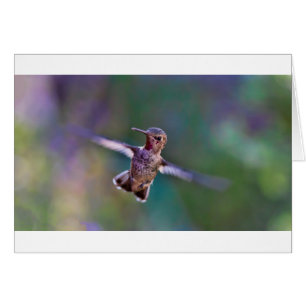 Hummingbird Hälsningskort