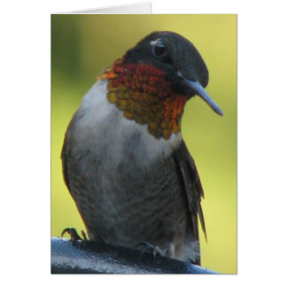 Hummingbird Hälsningskort
