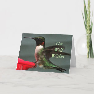 Hummingbird hane 8891 - anpassa valfri tillfälle kort
