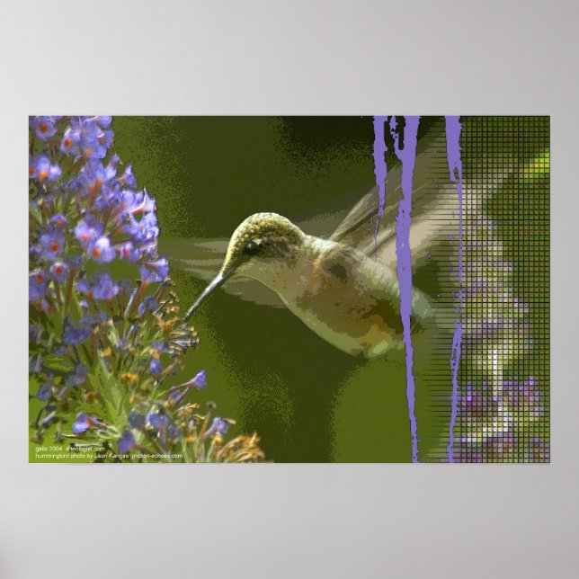 Hummingbird Harmony av Gregory Gallo Poster (Framsidan)
