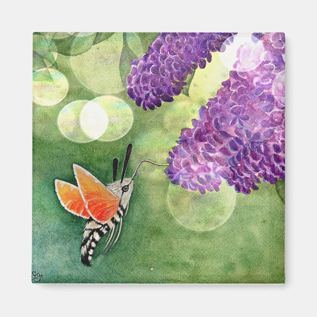 Hummingbird Hawk Moth och Lilacs Magnet (Framsidan)