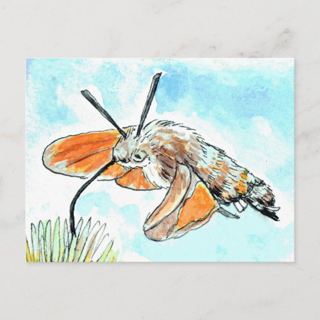 Hummingbird Hawk Moth Painting Vykort (Framsida)