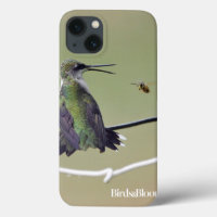 Hummingbird- & honungbi