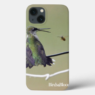 Hummingbird- & honungbi