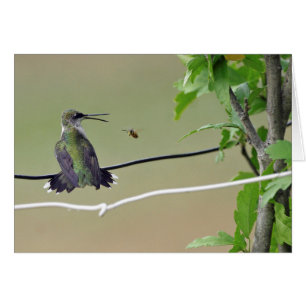 Hummingbird- & honungbi hälsningskort