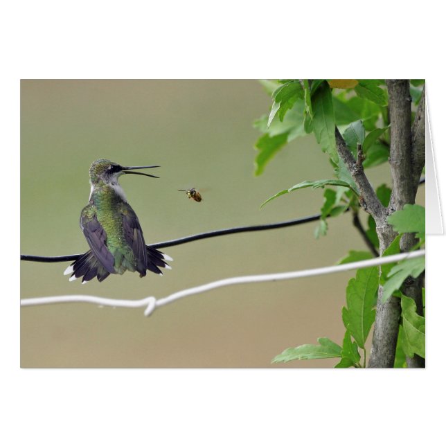 Hummingbird- & honungbi hälsningskort (Framsidan Horizontal)