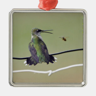Hummingbird- & honungbi julgransprydnad metall