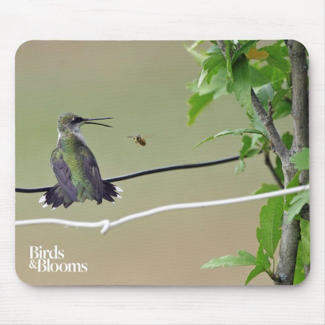 Hummingbird- & honungbi musmatta (Framsidan)