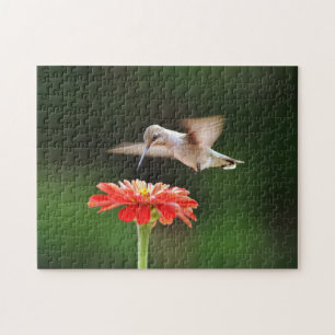 Hummingbird Hovering over Red Flower Puzzle Pussel