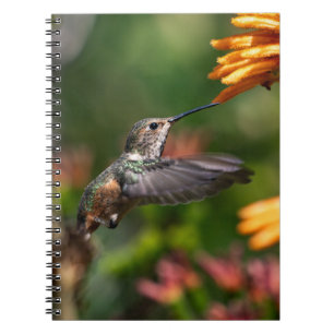 Hummingbird hoving with Flowers - Wildlife Photo Anteckningsbok