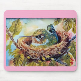 Hummingbird i bo musmatta