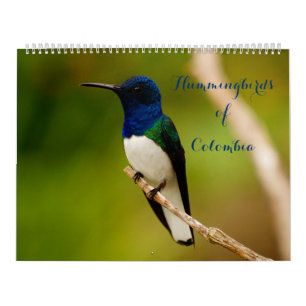 Hummingbird i Colombia Kalender