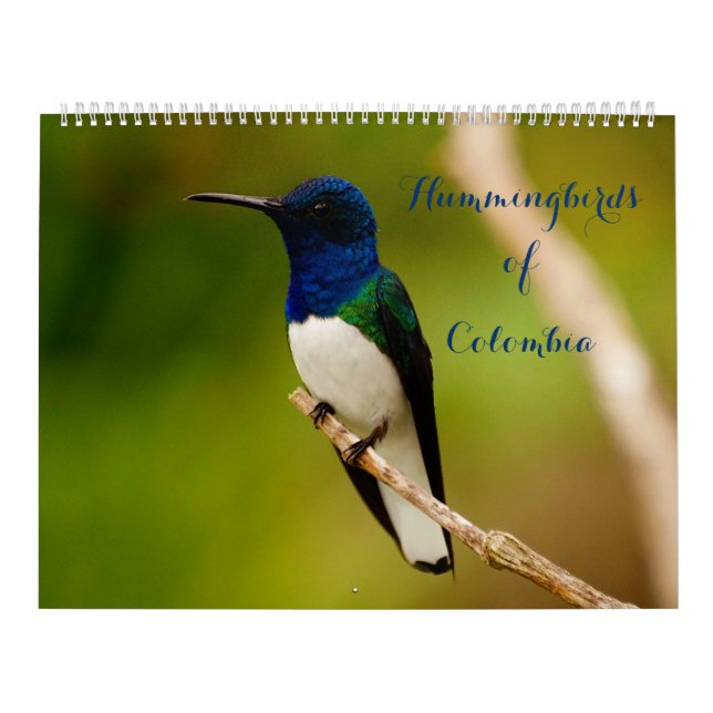 Hummingbird i Colombia Kalender (Omslag)