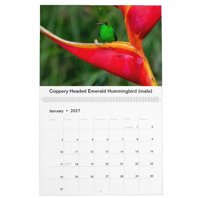 Hummingbird i Costa Rica Calendar Kalender (Jan 2027)