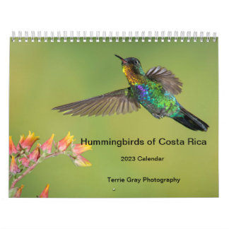 Hummingbird i Costa Rica Calendar Kalender