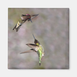 Hummingbird i Flight Magnet