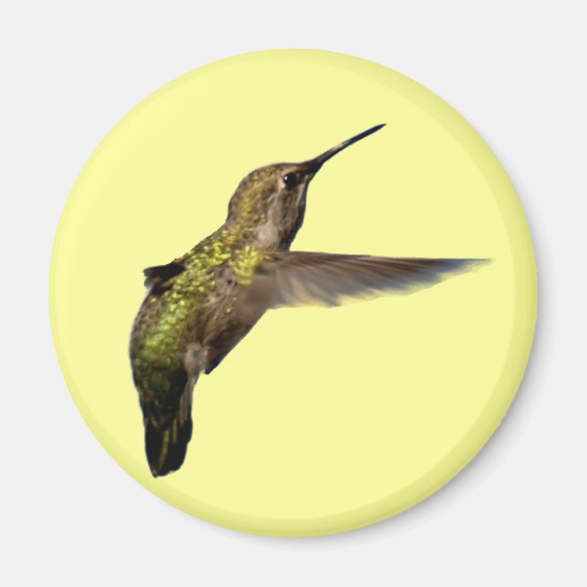 Hummingbird i Flight Round Magnet (Framsidan)