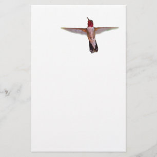 hummingbird i flyg brevpapper