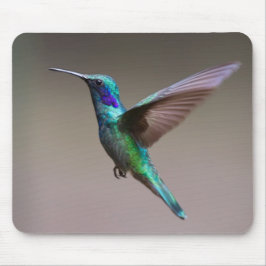 Hummingbird i flyg musmatta