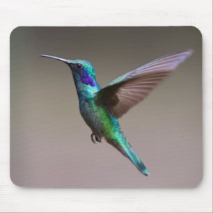 Hummingbird i flyg musmatta