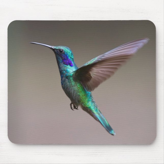 Hummingbird i flyg musmatta (Framsidan)