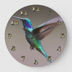 Hummingbird i flyg stor klocka