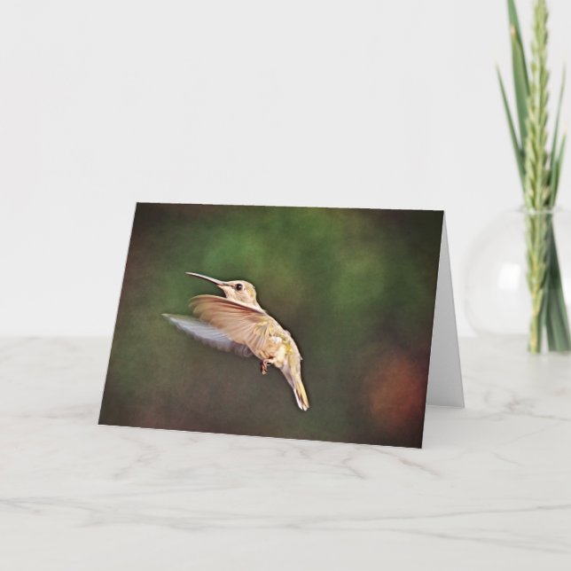 Hummingbird i flyganteckningskort kort (Framsida)