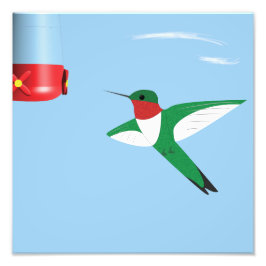 Hummingbird i flygtryck fototryck