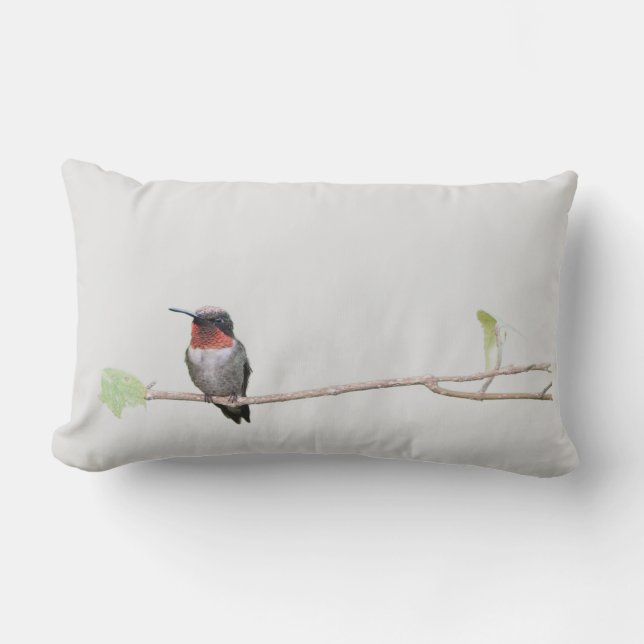Hummingbird i Gren Lumbarkudde (Framsida)